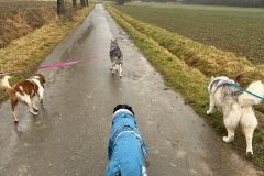 1_Social-Walk1