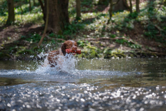 Kalle-Wasser