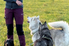 Hundetrainerin Lohrengel Huskys und Malou