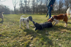 Spielgruppe1