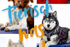 TGB-Schulhunde